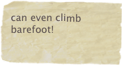 can even climb barefoot!